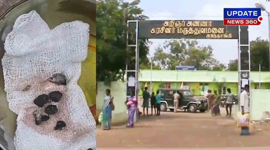 ARanthangi Govt - Updatenews360