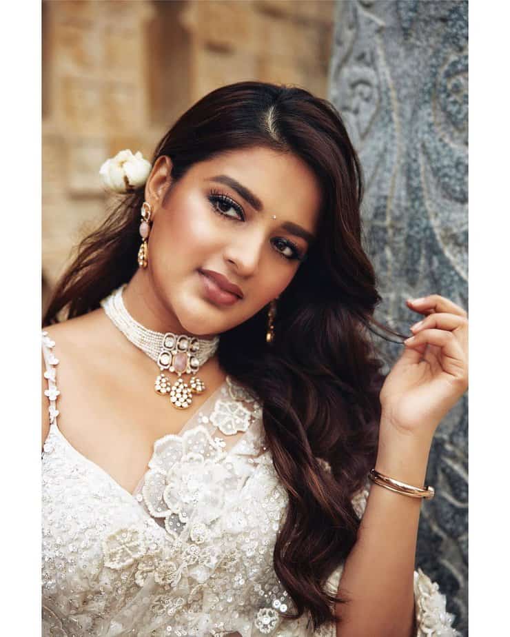 nidhhi agerwal - updatenews360